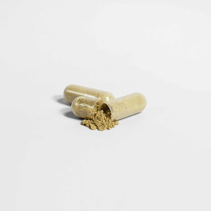 Moringa Oleifera supplement