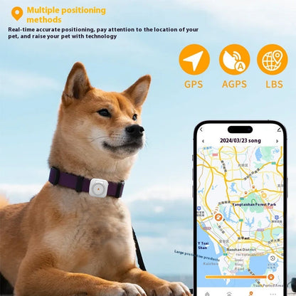 Pet GPS
