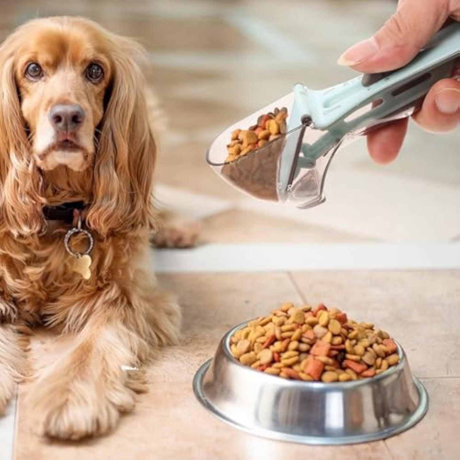 Pet Food Scoop