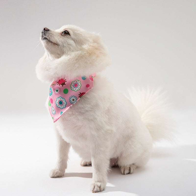 Pet Clothing Dog Accessories
