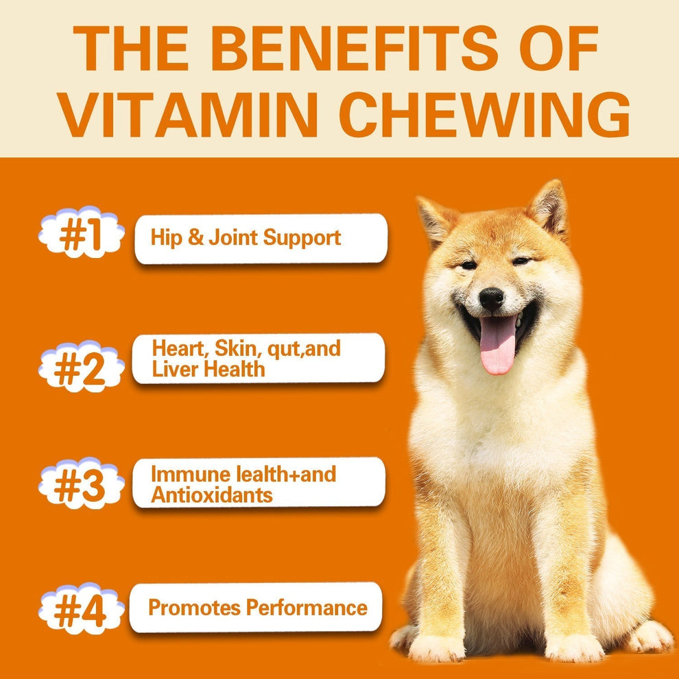 Pet Vitamin